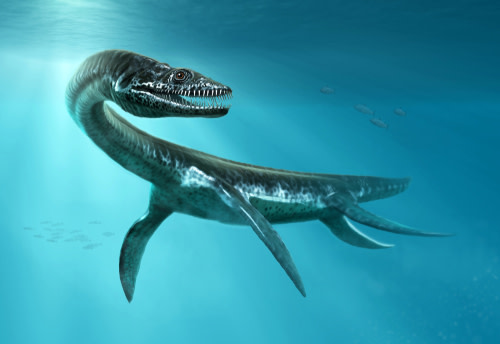 3D illustration of Plesiosaurus under water from the Jurassic era 