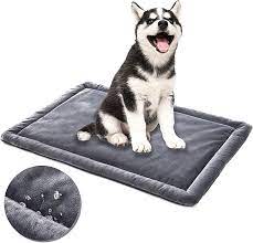 PetBed4Less Deluxe Orthopedic Memory Foam Dog Bed Pet Pad with Chew  Resistant NOT chew-Proof and Removable Zipper Cover + Free Waterproof Dog  Bed