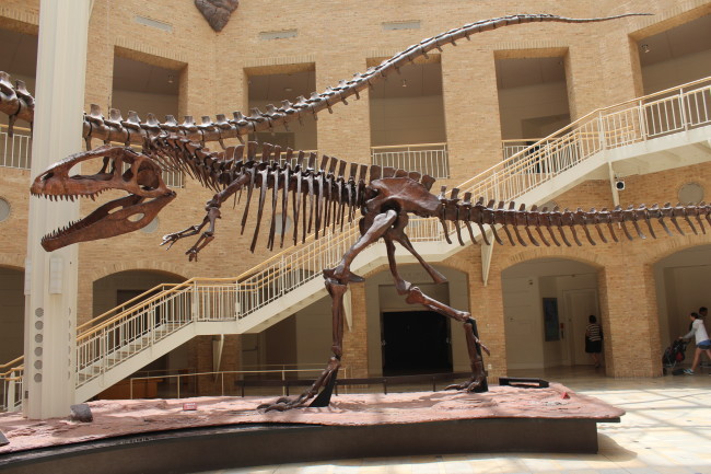 Giganotosaurus at Fernbank