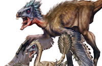 Similicaudipteryx.jpg