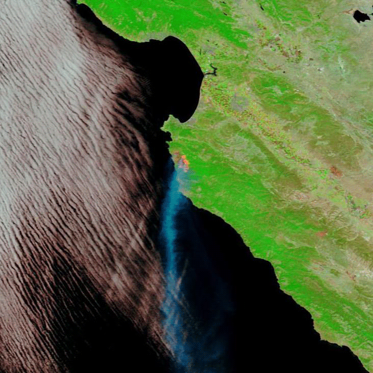 Soberanes.gif