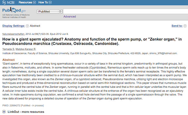 giant_sperm.png