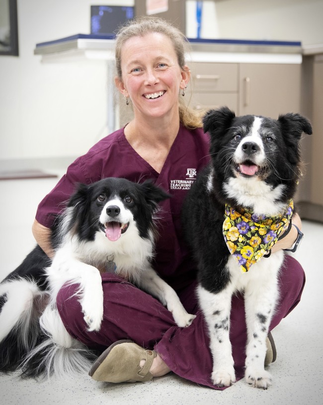 Vet Kate Creevy & dogs - Texas A&M