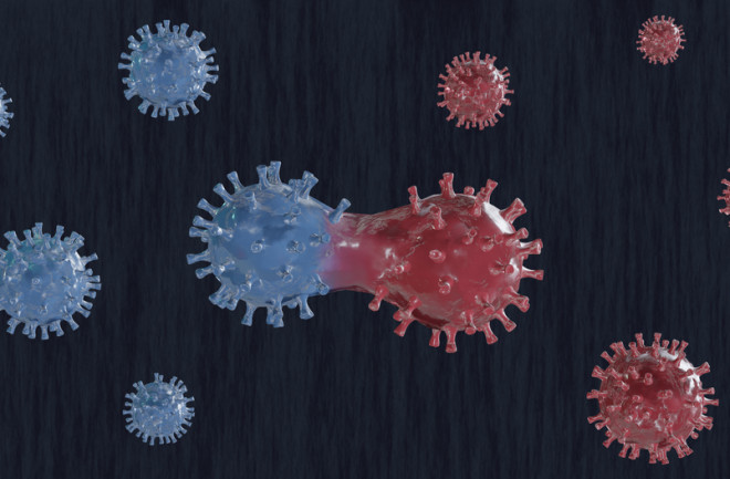 illustration concept of the coronavirus mutating - shutterstock 1684333258