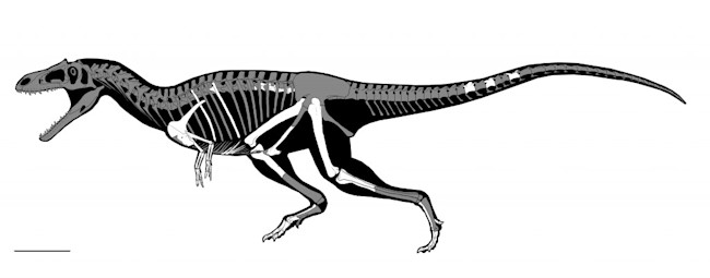 huesos-gualicho6-1024x402.jpg