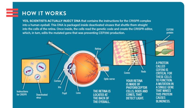 injection crispr