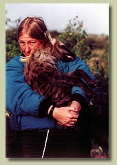 On The Ground With The Smart Hyenas | Discover Magazine