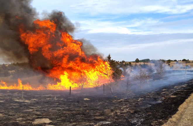 Controlled burn in grasslands