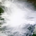 MCS-Terra-150x150.jpg