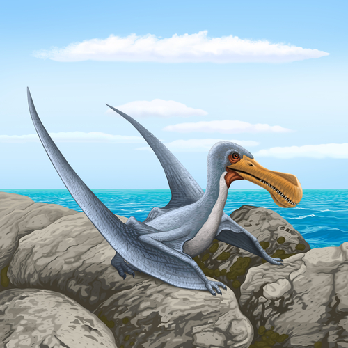 Flying Dinosaurs Names  Pterodactyl, Quetzalcoatlus, & Dimorphodon