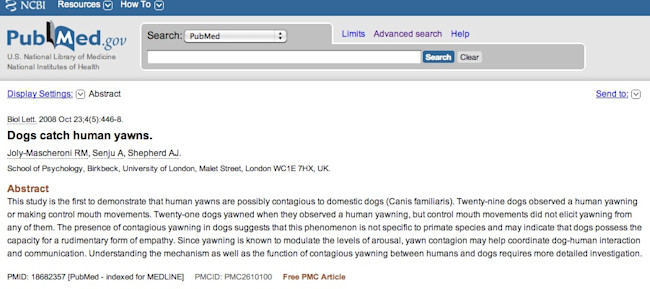 dogs.jpg