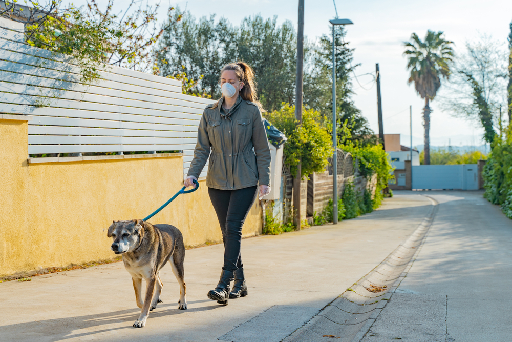 Can Your Pets Get Coronavirus, and Can You Catch It From Them