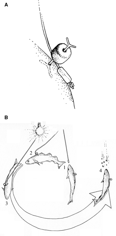 10071_2013_710_Fig1_HTML.gif