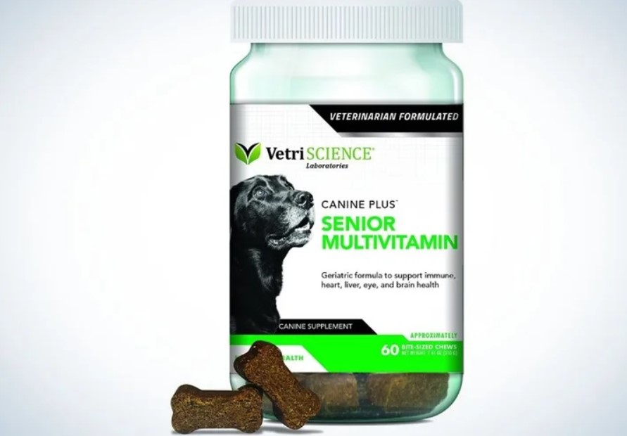 The Best Dog Vitamins Of 2023 Popular Science
