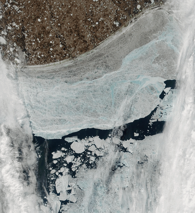 E-Siberian-Sea-true_nat.gif