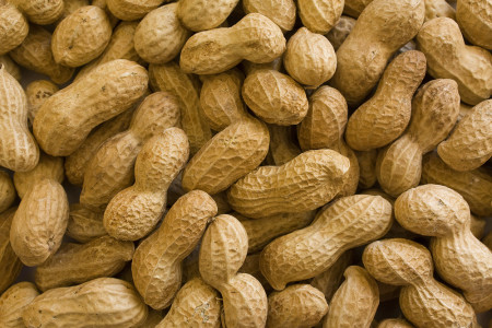 A New Drug for Peanut Allergies Is Offering Hope for Food Allergy Sufferers