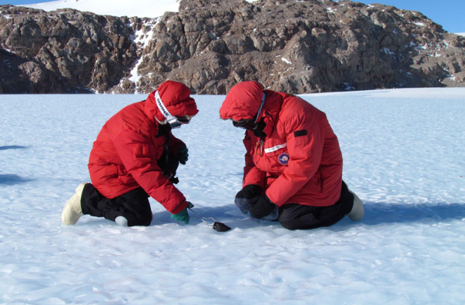 antarctica-meteorite