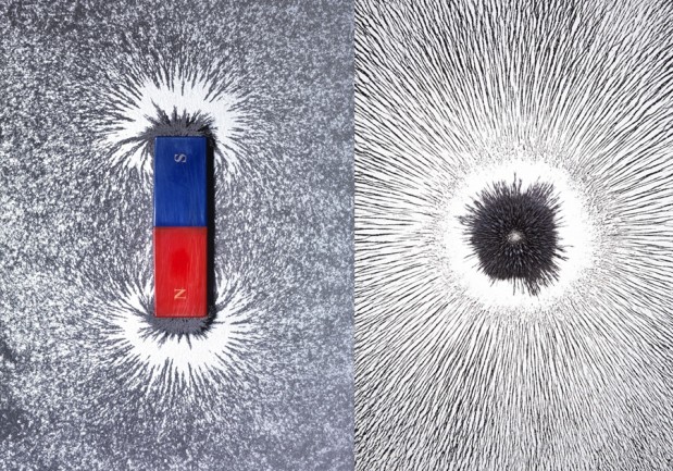 Scientists Hunt for A Seeming Paradox: A Magnet With Only One Pole