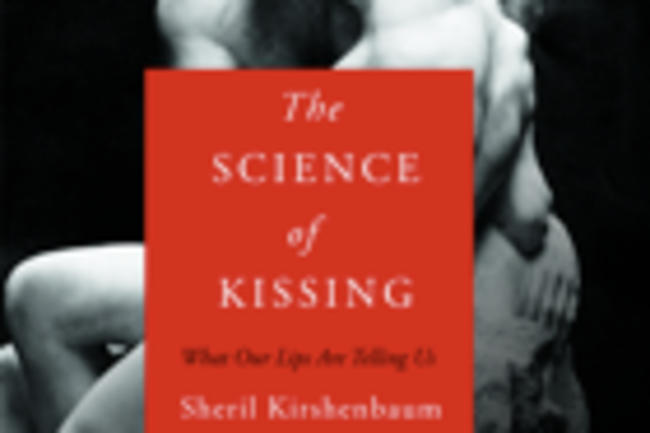 cover2.png