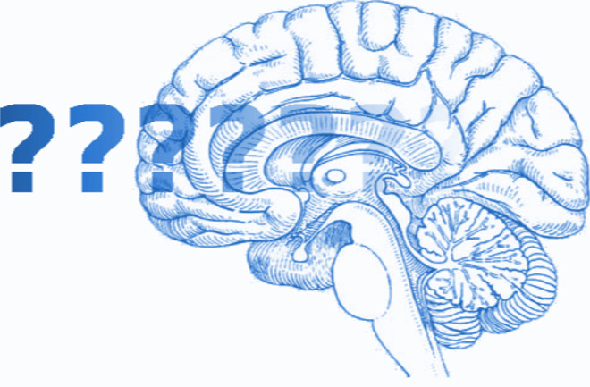 Brain with Question Marks Header - Neuroskeptic