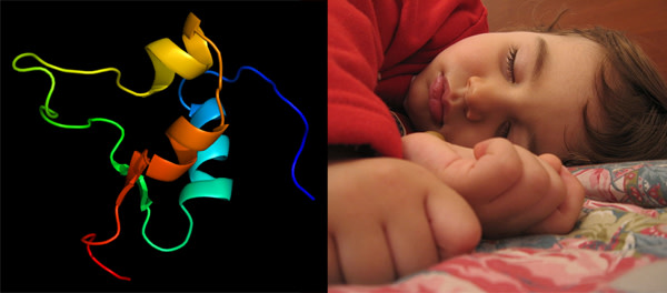 IGF2_child.jpg