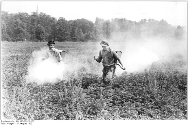 DDT spraying