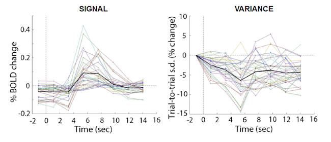 fmri_variance.png