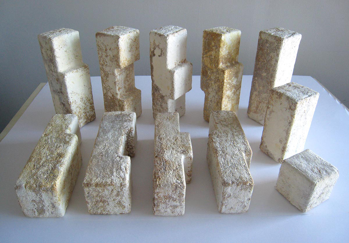 fungus-bricks.jpg