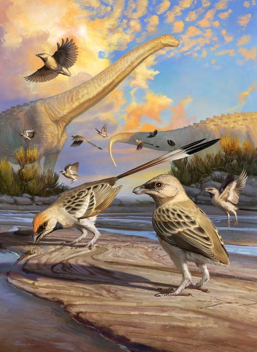 Prehistoric Bird Brain May Be a Rosetta Stone for Avian Evolution