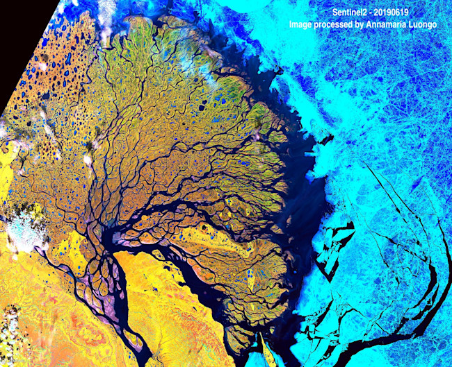 False Color Satellite Image of Lena Delta in Russia