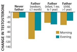 Daddy-Brain testosterone change - Mackey/PNAS