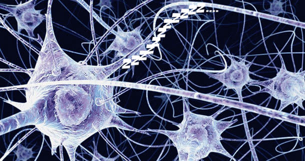 Neurons.jpg