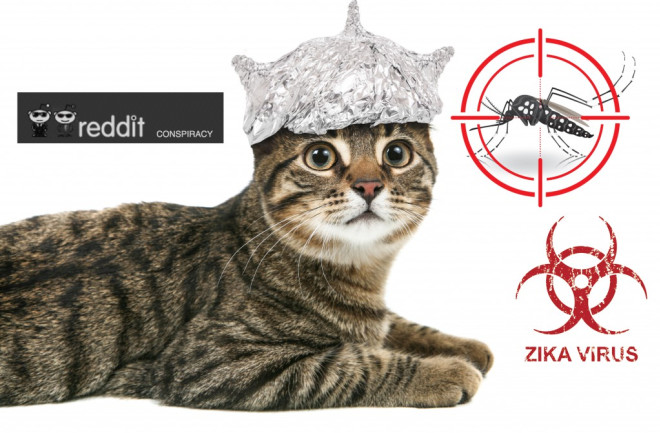 ZIka_conspiracy_theory_cat-1024x720.jpg