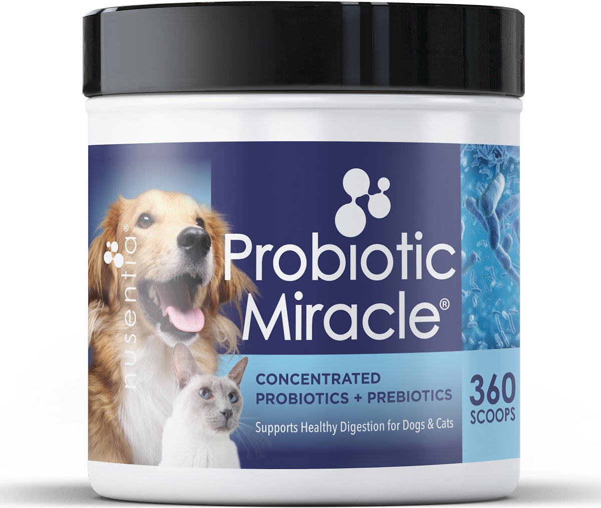 do probiotics make dogs fart