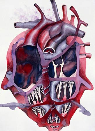 pareidolianatomy.jpg