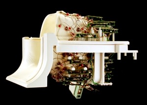 tuning-the-brain