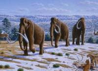 Mammoth.jpg