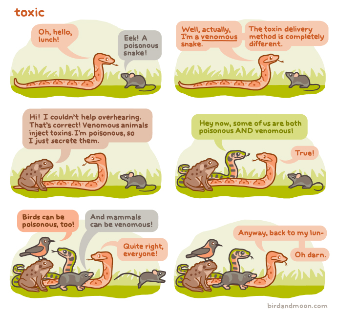 Snake Venom Toxicity Chart