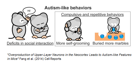 graphical_abstract_mice.png