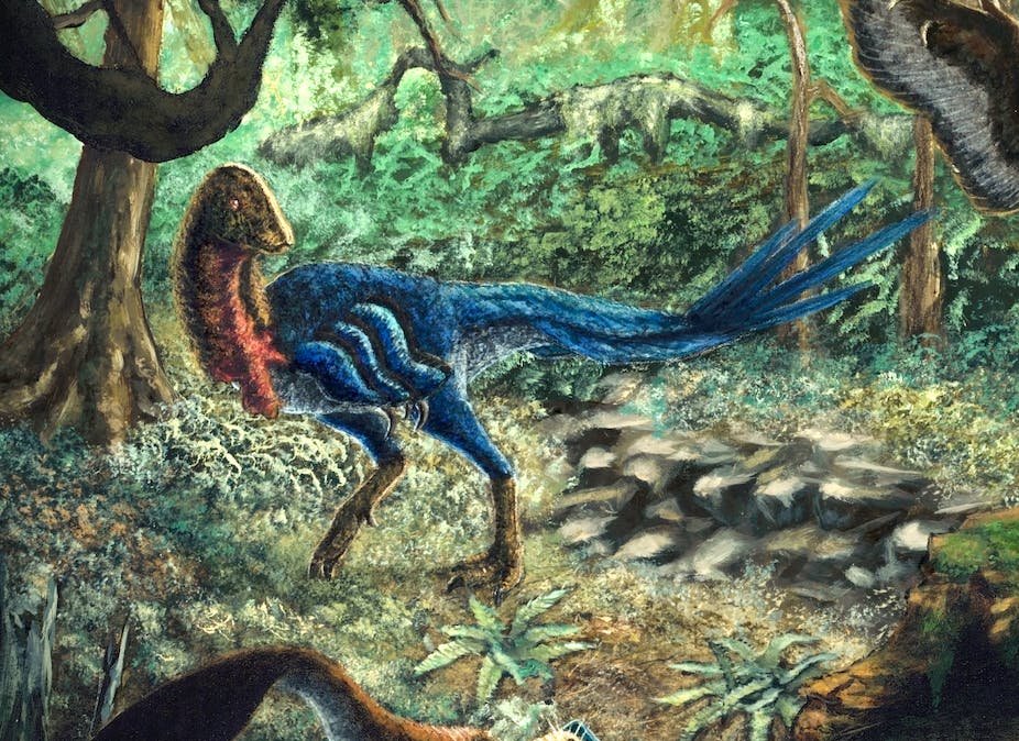Une espèce de « poulet de l’enfer » nouvellement identifiée aide à expliquer l’époque des dinosaures