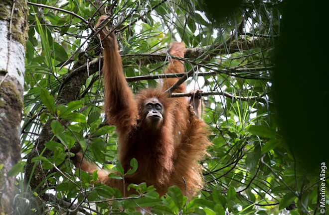 Light Technology Light Technology Could Lead to Faster Computers