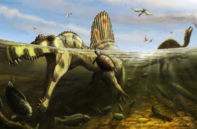Spinosaurus aegyptiacus trawls for mesozoic fish. Illustration by Brian Engh