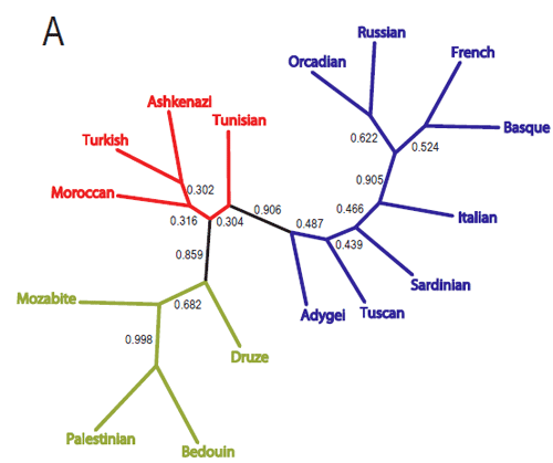jewsa2.png