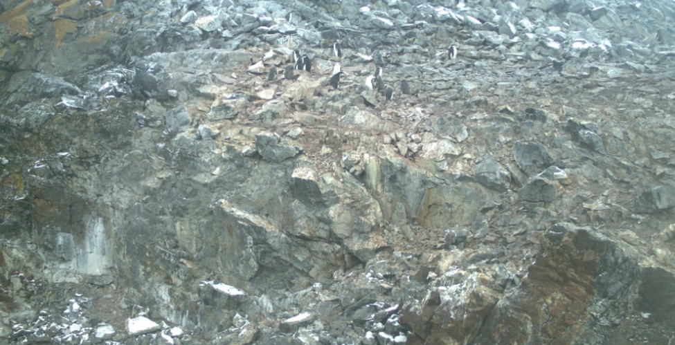 whereswaldo1.jpg