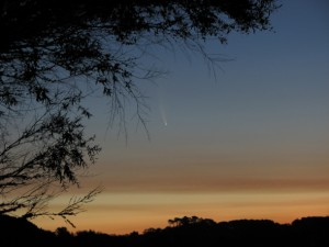 comet_mcnaught_daytime-300x225.jpg