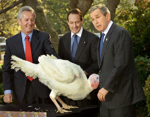 Bush%201-2.jpg
