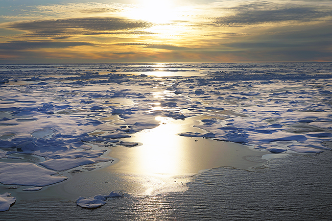 Les dernières nouvelles en provenance de l’Arctique sont mitigées – et ce n’est pas bon