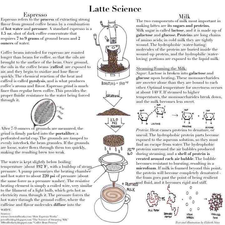 Latte Science 