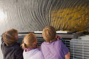 DMussina Watching a School of Herring 4nXvtcR-300x200