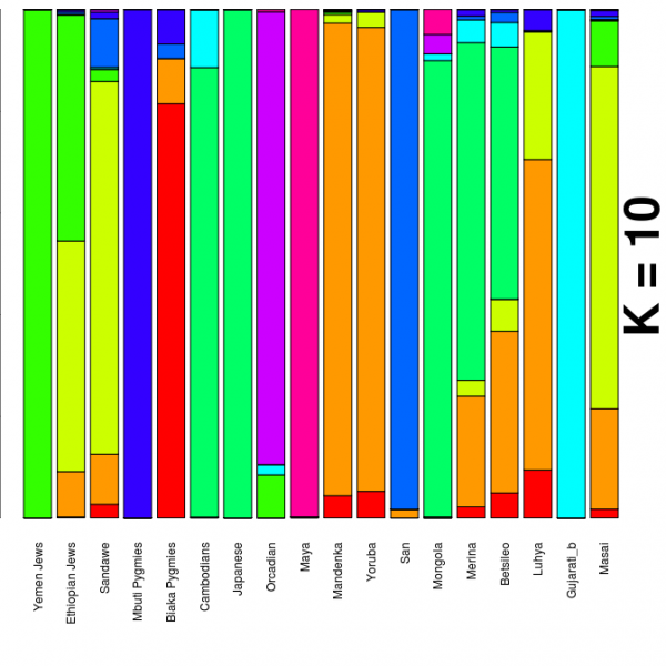betsileoadmix-e1319357644621.png